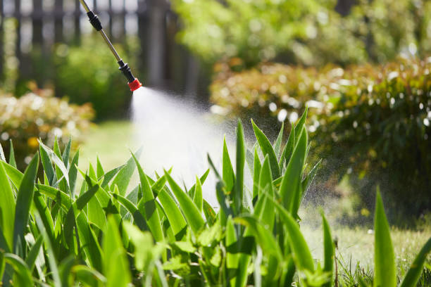 24/7 Emergency Ant Control experts in Glasgow, OR